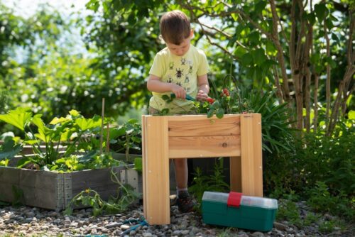 Hochbeet für Kinder - Bausatz Compact Kids