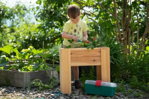 Hochbeet für Kinder - Bausatz Compact Kids