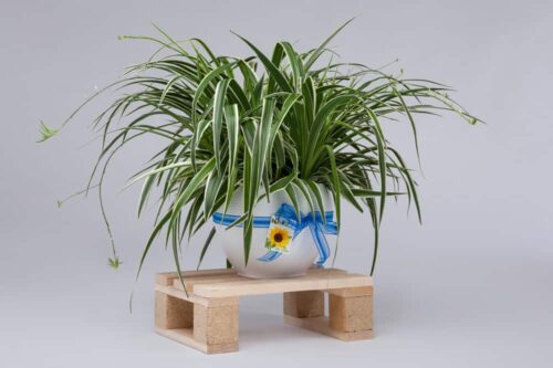 Minipalette PALau als Geschenksidee
